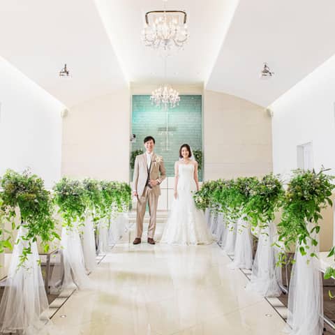 【2026-春限定】桜咲くスプリングプラン