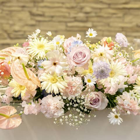 【SPRING Plan】人気シーズン★春婚プラン!