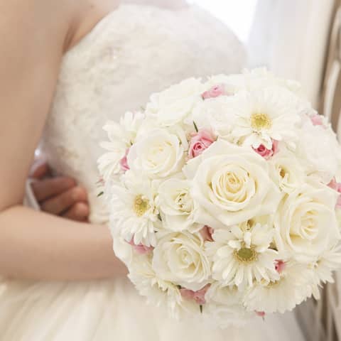 【SPRING Plan】人気シーズン★春婚プラン!