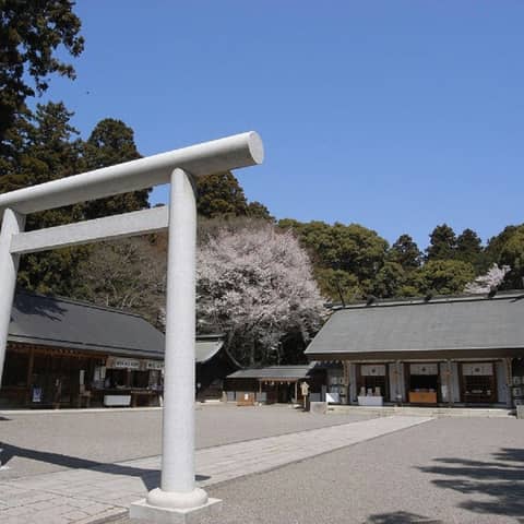【提携神社で本格神前式】神社挙式×スカイバンケットパーティプラン