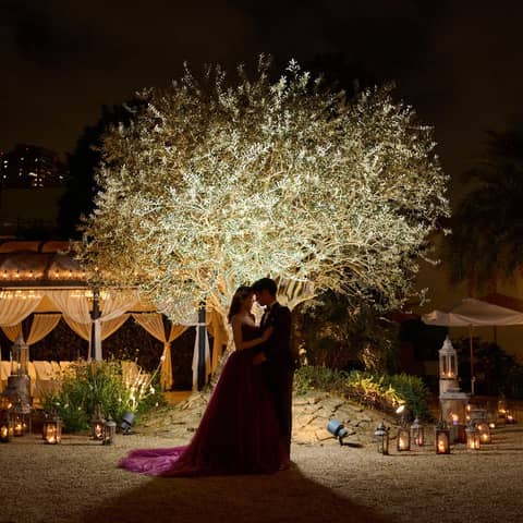 【春&初夏Wプラン】3〜6月*人気シーズンのご案内