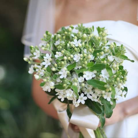 夏婚におすすめ!’26年7・8月限定*50名〜貸切OK【サマープラン】