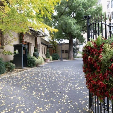 大人のためのクリスマスW*贅沢に過ごす【’26年クリスマスプラン】