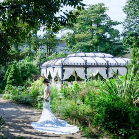 夏婚におすすめ!’26年7・8月限定*50名〜貸切OK【サマープラン】