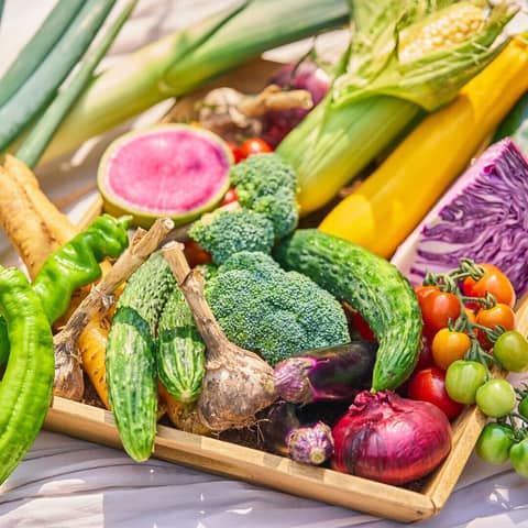 会食・ウエディングプラン サロット・デ・カナ