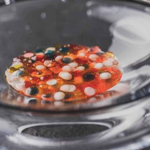 ≪完売間近≫26年9月まで シーズンプラン