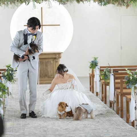 【ペット婚プラン登場!】大切な愛犬と一緒に叶える結婚式プラン