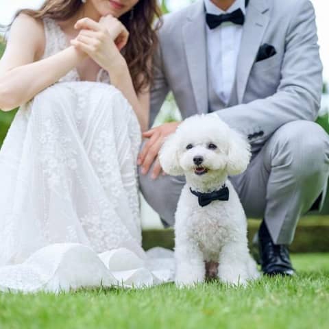 【ペット婚プラン】大切な家族と一緒にウエディングを