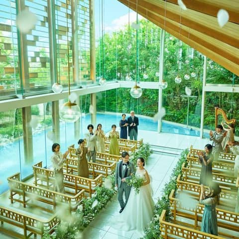 27年6月~27年8月 シーズンプラン