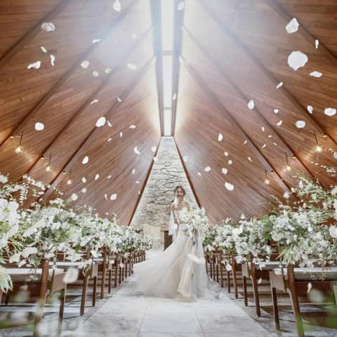 27年4月~27年5月 シーズンプラン