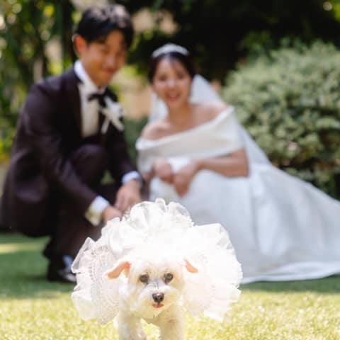 【ペットと叶える結婚式】貸切ガーデンや独立型チャペルで過ごせるプラン♪