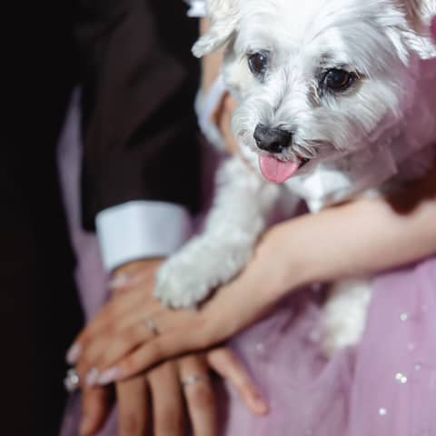 【ペットと叶える結婚式】貸切ガーデンや独立型チャペルで過ごせるプラン♪