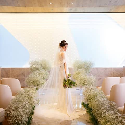 お披露目パーティにもおすすめ・サマープラン