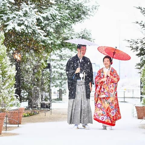 【2026年3月までの*挙式ご検討の方♪】50名304万円→174万円