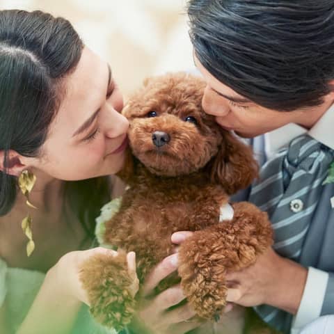 【公式】ロザンジュイア広尾迎賓館|広尾駅3分・一軒家貸切結婚式場