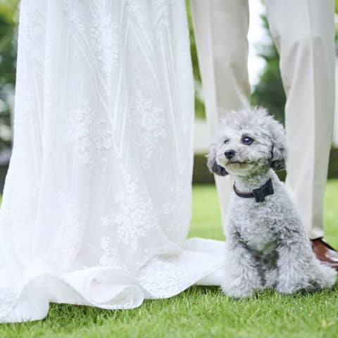 【ペットWプラン】~大切なペットと一緒に過ごせる結婚式~
