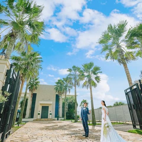 27年2月~27年3月 シーズンプラン