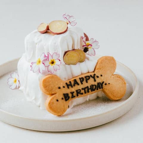 【公式】結婚式場Sakurazaka RETREAT(桜坂リトリート)守山区、春日井、瀬戸、尾張旭