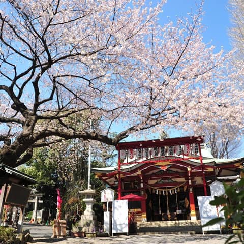 ~本物の神髄を味わう~ 神前式×ジョエル・ロブションウェディング