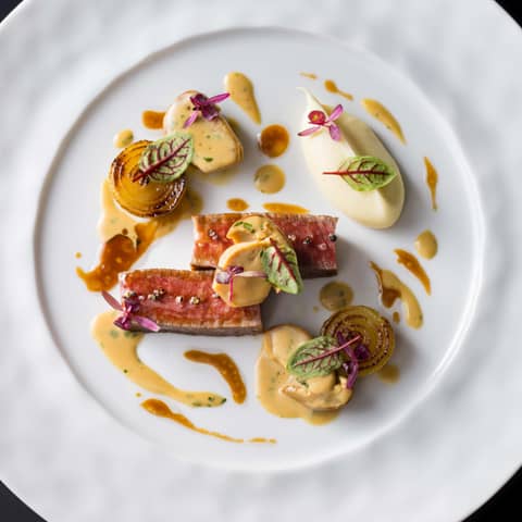 【2026年1~2月開催限定】最大24万円お得プラン