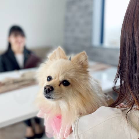 プライベートリゾート カリメーラ