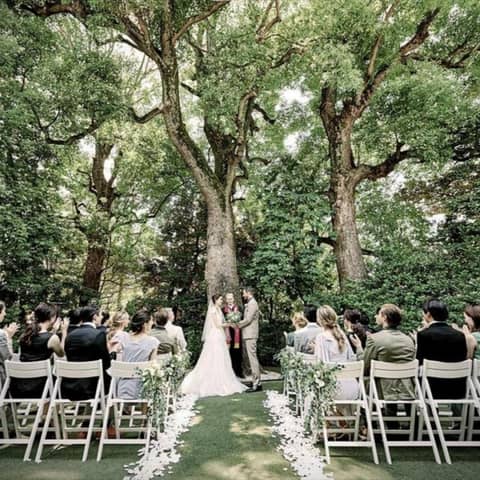 アーモニーアグレアーブル