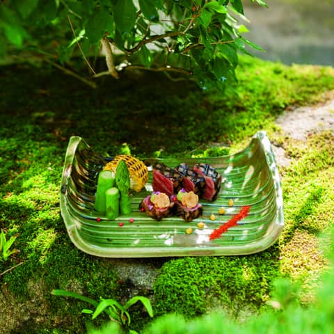 鶴羽根神社 二葉