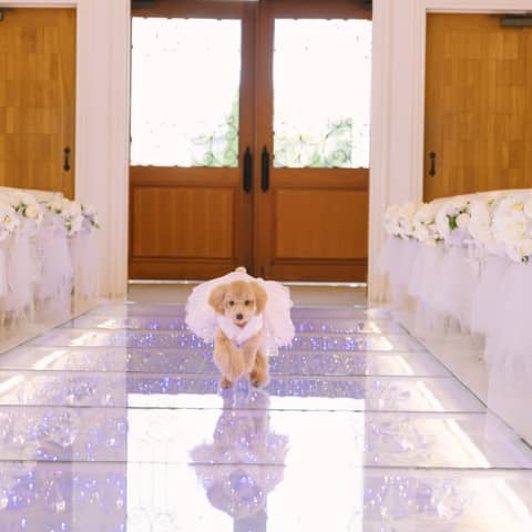 「最高の一日」~Wonderful Wedding~