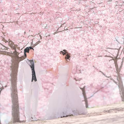 2026年4月~6月❀まだ間に合う春婚〖50名191万円〗