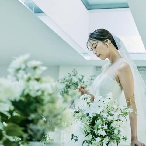 ≪空き日残り僅か≫26年7月~26年8月 シーズンプラン