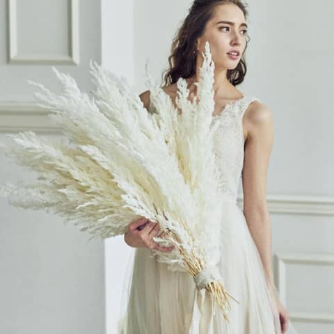 27年1月~27年3月 シーズンプラン