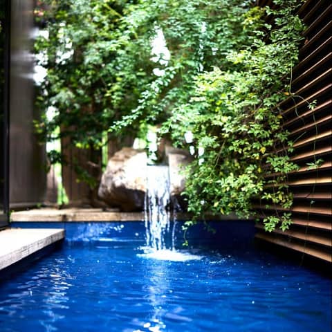 ザ テンダーハウス