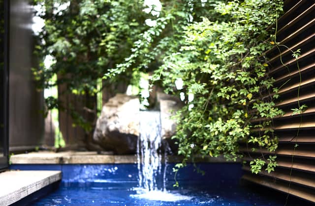 ザ テンダーハウス