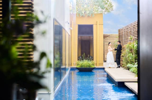 ザ テンダーハウス