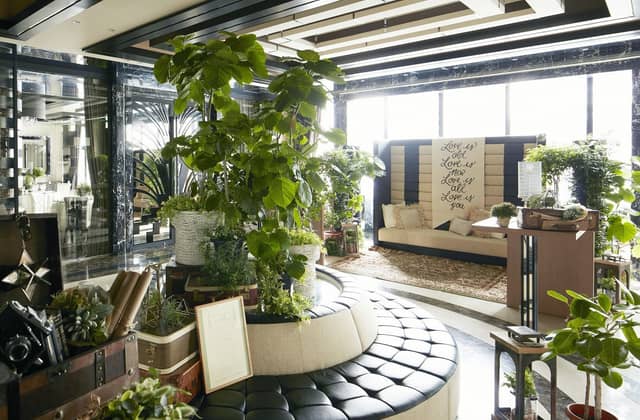 Le Crit Amore 大阪