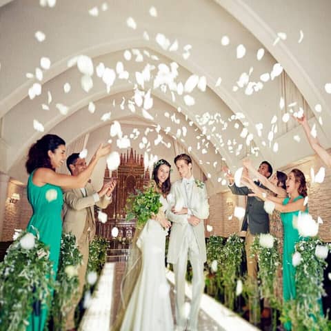 限定5組【50名155万円】26年9月~11月/オータムプラン