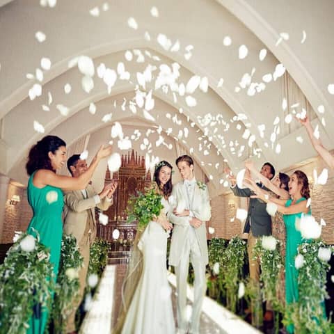 【50名162万円】26年6月~9月/1年以内挙式プラン