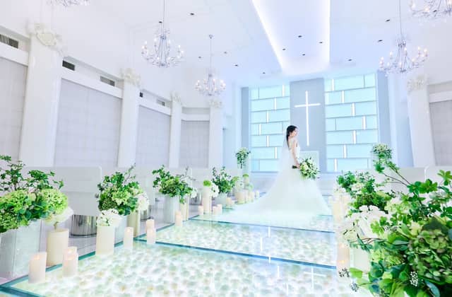 【公式】アメリーモンシュシュ