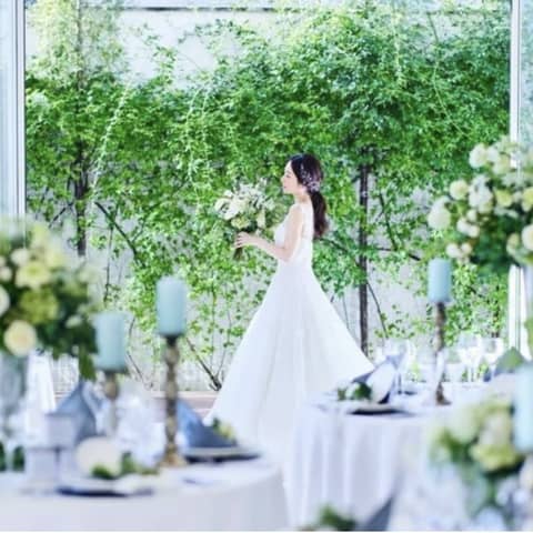 【公式】アメリーモンシュシュ