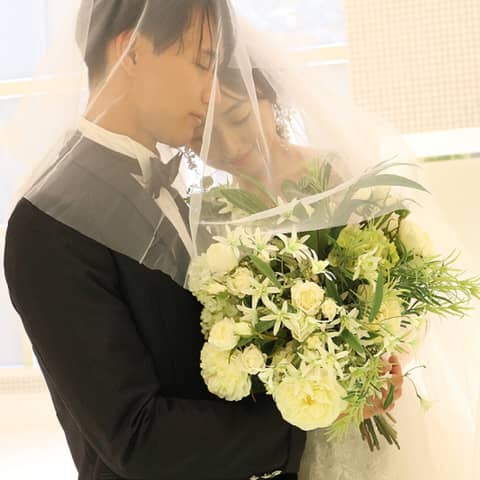 【公式】アメリーモンシュシュ