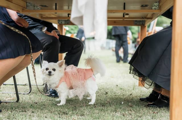 株式会社FOLK FOLK