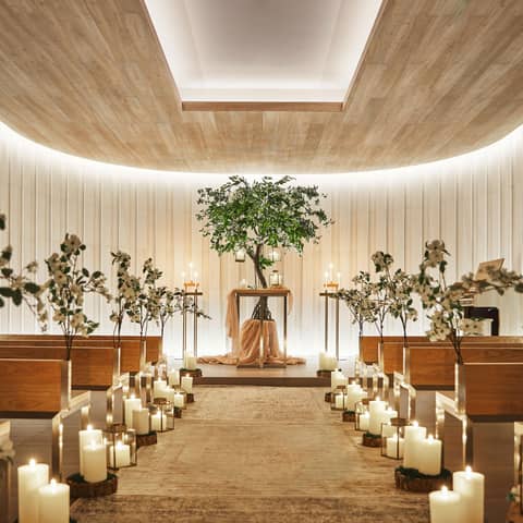 【挙式+20名パーティ】ご両家だけの祝宴をご希望のカップルに~通年OK