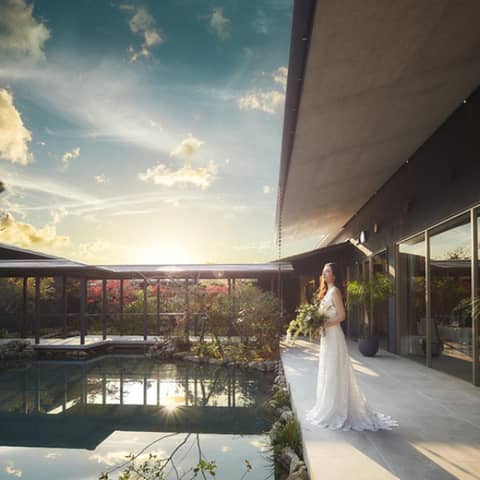 フォト婚プラン