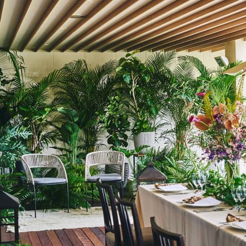 26年6.7.8月限定◆SUMMERプラン*50名223万円