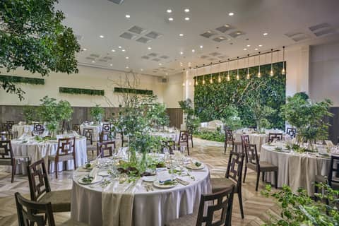 残枠僅か*【26年4月~6月】Spring Special Plan