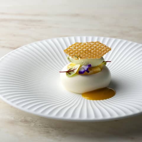 【秋の特別優待】11月末までの成約限定プラン