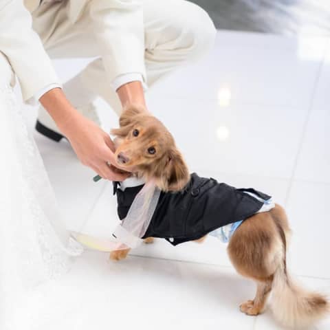 長良川清流ホテル ウエディング