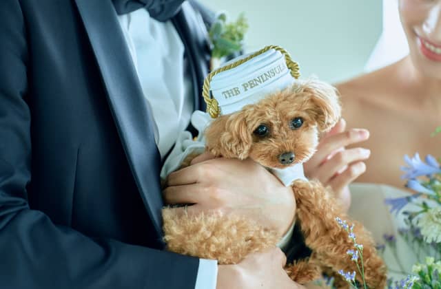 ザ・ペニンシュラ東京