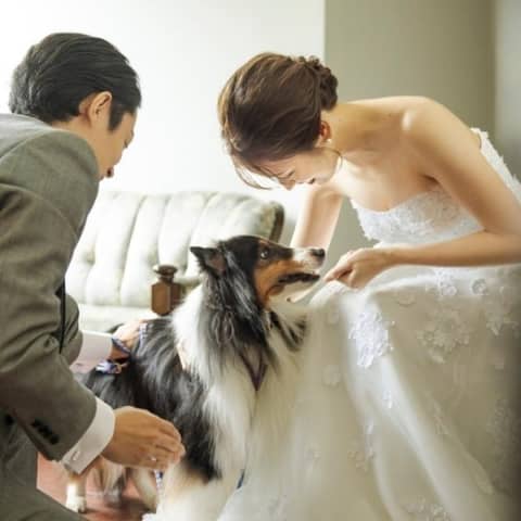 【ペット婚】最大75万円ご優待|都内でも希少な“全館ペットOK”プラン