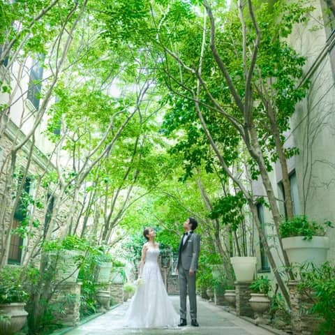 【27年3~5月】最大80万円ご優待|先行予約スタート!春の人気プラン